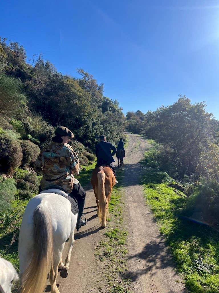 Bodrum Atlı Spor Klubü