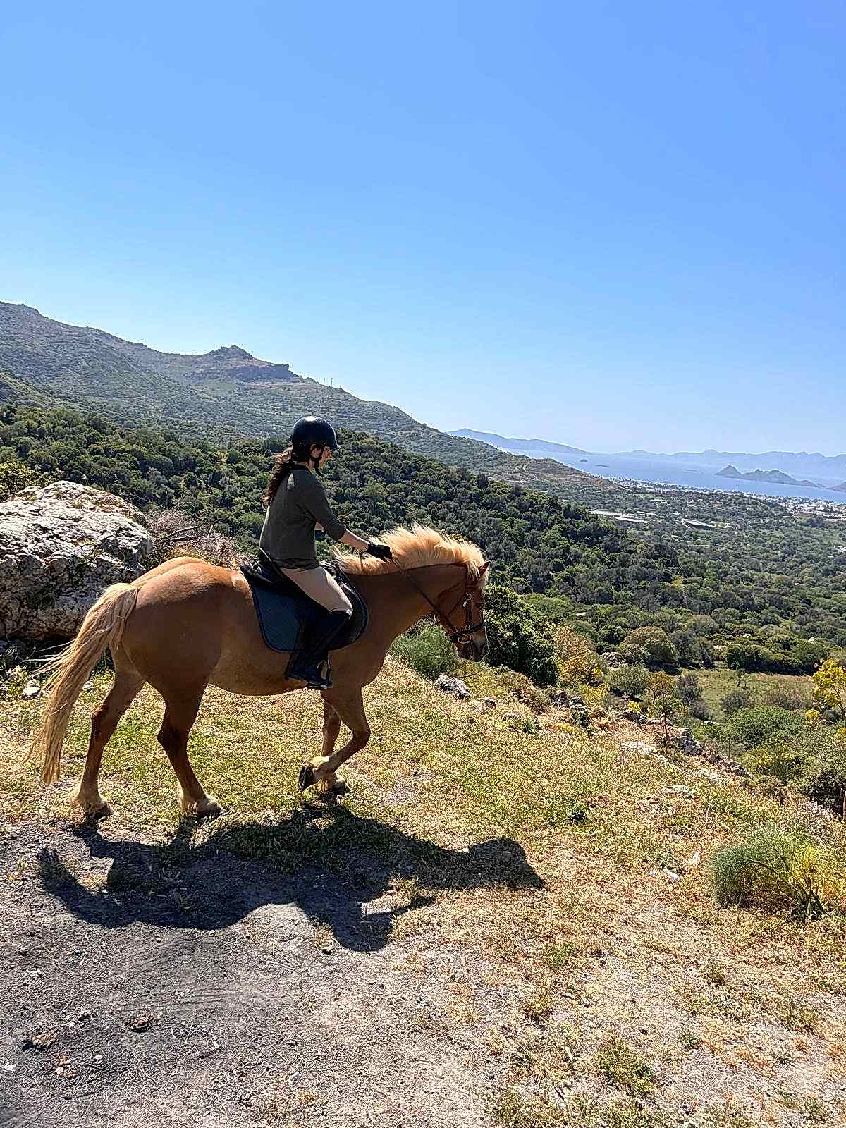 Bodrum Atlı Spor Klubü